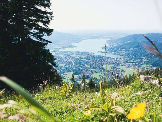 Grundstück zum Kauf provisionsfrei 4.950.000 € 1.500 m² Grundstück Baugenehmigung vorhanden Rottach Rottach-Egern 83700