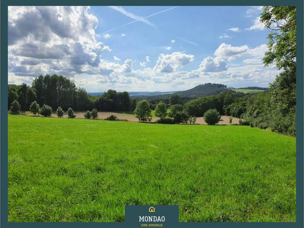 Reihenmittelhaus zum Kauf 435.000 € 8 Zimmer 200 m² 65.981 m² Grundstück frei ab sofort Waldeck Kemnath 95478