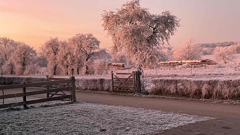 Reiterhof zum Kauf 1.950.000 € 75.000 m² 5.800 m² Grundstück Dettenheim Weißenburg i. Bay. 91781