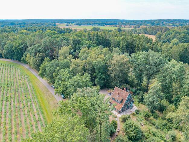 Einfamilienhaus zum Kauf 425.000 € 4 Zimmer 85 m² 5.065 m² Grundstück Bahlburg Winsen (Luhe) 21423