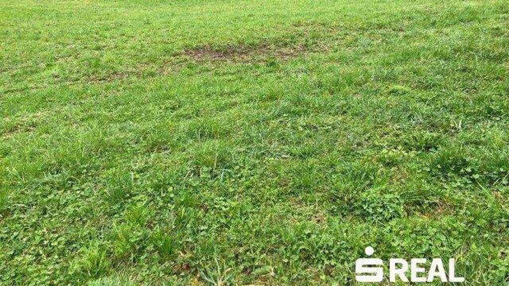 Grundstück zum Kauf 163.500 € 15.664 m² Grundstück Reichraming 4462