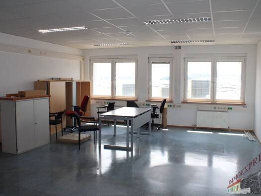 Bürofläche zur Miete 588 € 1 Zimmer 56 m² Bürofläche Wiener Neudorf 2351