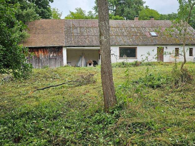 Einfamilienhaus zum Kauf 397.000 € 3 Zimmer 120 m² 8.025 m² Grundstück Michelsberg Nittenau 93149