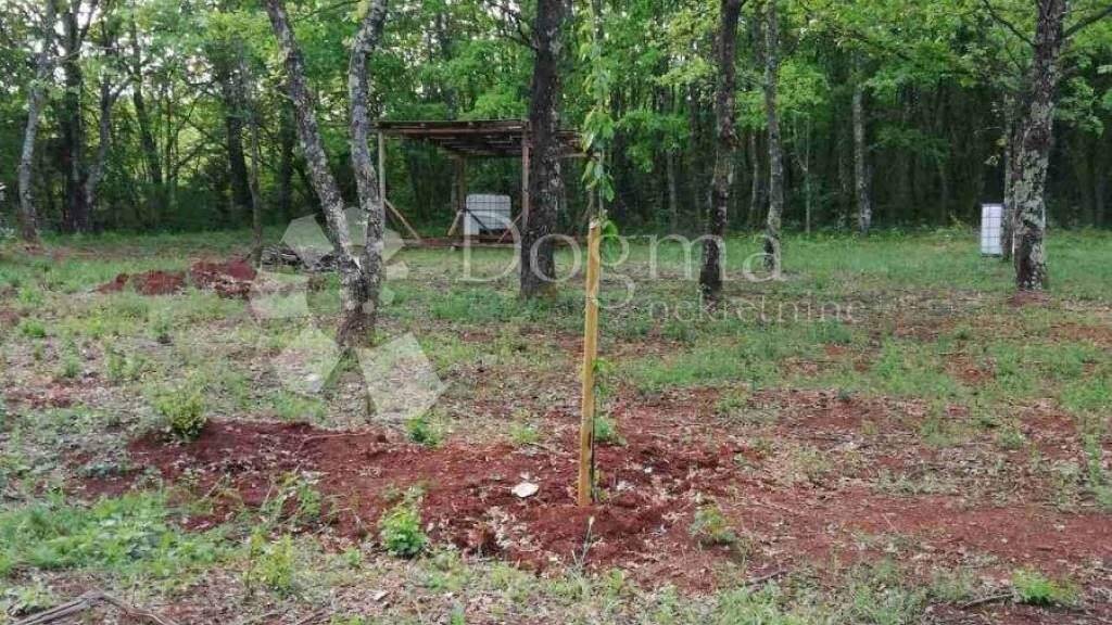 Land-/Forstwirtschaft zum Kauf 135.000 € Bistra