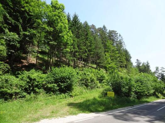 Land-/Forstwirtschaft zum Kauf 230.000 € 118.456 m² Grundstück Raach am Hochgebirge 2640