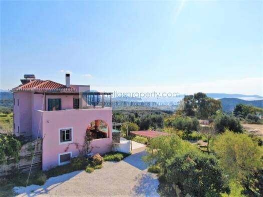 Mehrfamilienhaus zum Kauf 620.000 € 8 Zimmer 320 m² 8.200 m² Grundstück Tapia - Methoni 24006