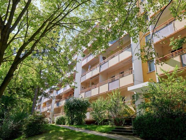 Wohnung zur Miete 346 € 1 Zimmer 36,3 m² EG Harthaer Straße 54 Gorbitz-Nord/Neu-Omsewitz Dresden 01169