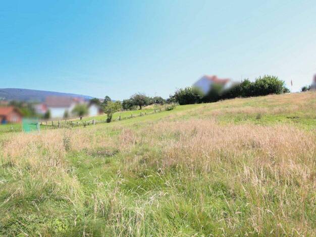 Grundstück zum Kauf provisionsfrei 44.000 € 1.000,3 m² Grundstück Lothe Schieder-Schwalenberg 32816