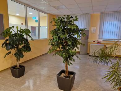 Büro-/Praxisfläche zur Miete provisionsfrei 2.695 € 12 Zimmer 350 m² Bürofläche Templin Templin 17268