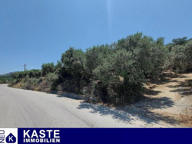 Grundstück zum Kauf 380.000 € 11.167 m² Grundstück Municipality of Kissamos