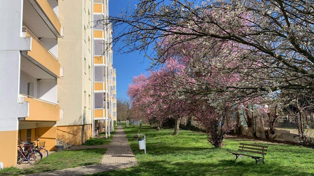 Studio zur Miete 220 € 1 Zimmer 32,8 m² frei ab sofort Kleine Mühlenbreite Calbe Calbe (Saale) 39240