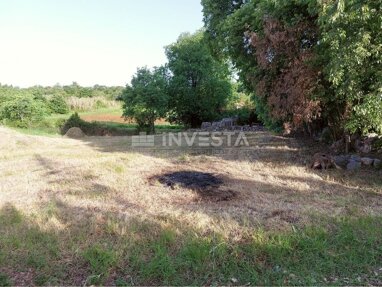 Land-/Forstwirtschaft zum Kauf 156.000 € Porec center