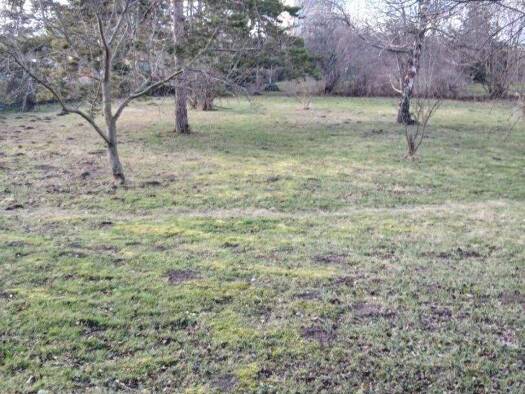 Grundstück zum Kauf 2.714 m² Grundstück Schwechat 2320