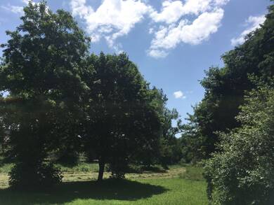 Studio zur Miete 610 € 1 Zimmer 42 m² Geschoss EG/3 frei ab 12.07.2025 Rottweil Rottweil 78628