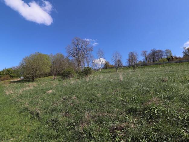 Grundstück zum Kauf 41.496 € 1.064 m² Grundstück frei ab sofort Schauenstein Schauenstein 95197