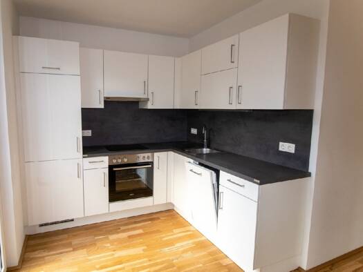 Wohnung zur Miete 709 € 2 Zimmer 50 m² Floridsdorf 1210