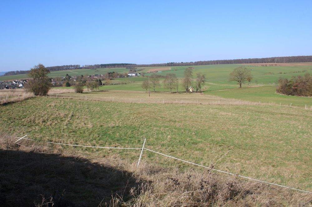 Immobilie in Oberwallmenach - Darf es von allem etwas mehr sein? - Bild 2