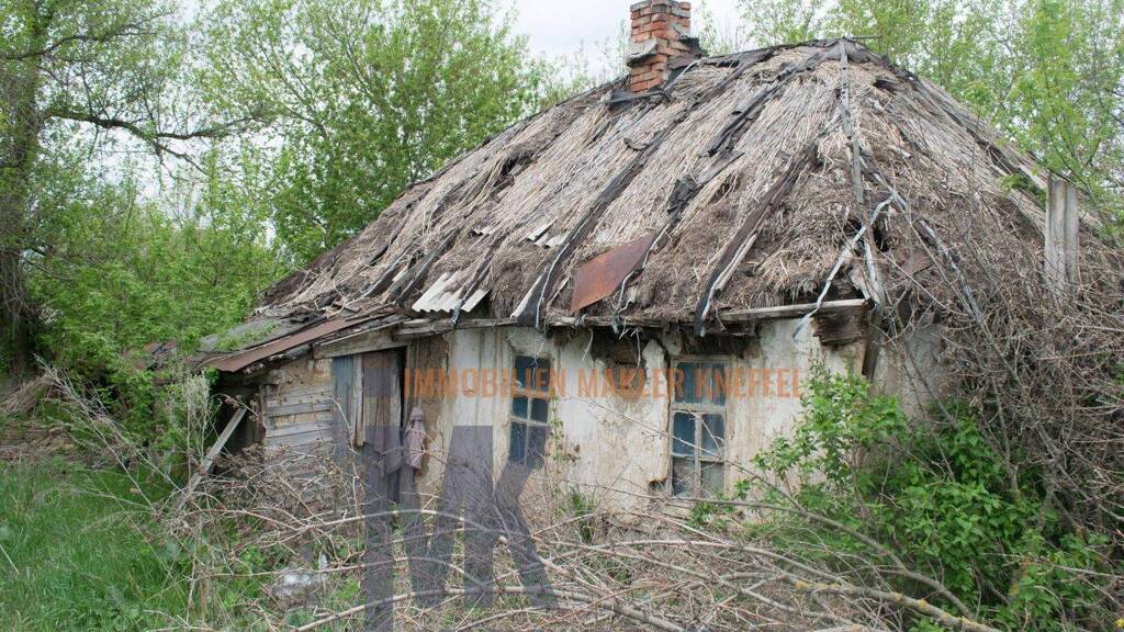 Haus zum Kauf 1 Zimmer 100 m² 2.000 m² Grundstück Syke 28857