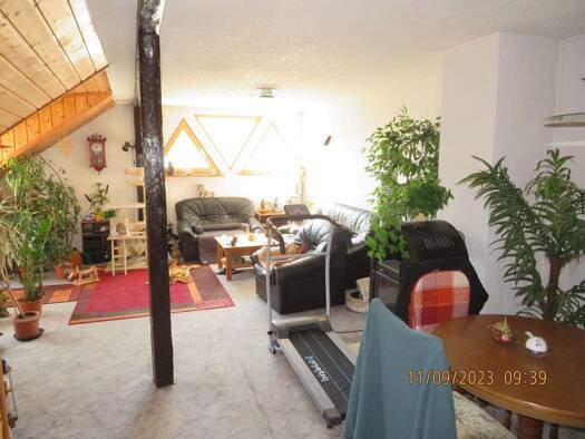 Mehrfamilienhaus zum Kauf 75.000 € 236 m² 386 m² Grundstück frei ab sofort Leutenberg 07338