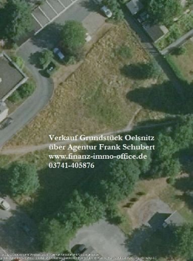 Grundstück zum Kauf 89.000 € 2.050 m²<br/>Grundstück Oelsnitz Oelsnitz 08606