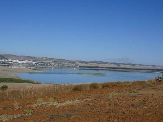 Freizeitgrundstück zum Kauf provisionsfrei 214.000 € 69.753 m² Grundstück Arcos de la Frontera 11630