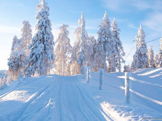 Villa zum Kauf 1.300.000 € 7 Zimmer 290 m² 1.077 m² Grundstück Rotthalmünster 94094