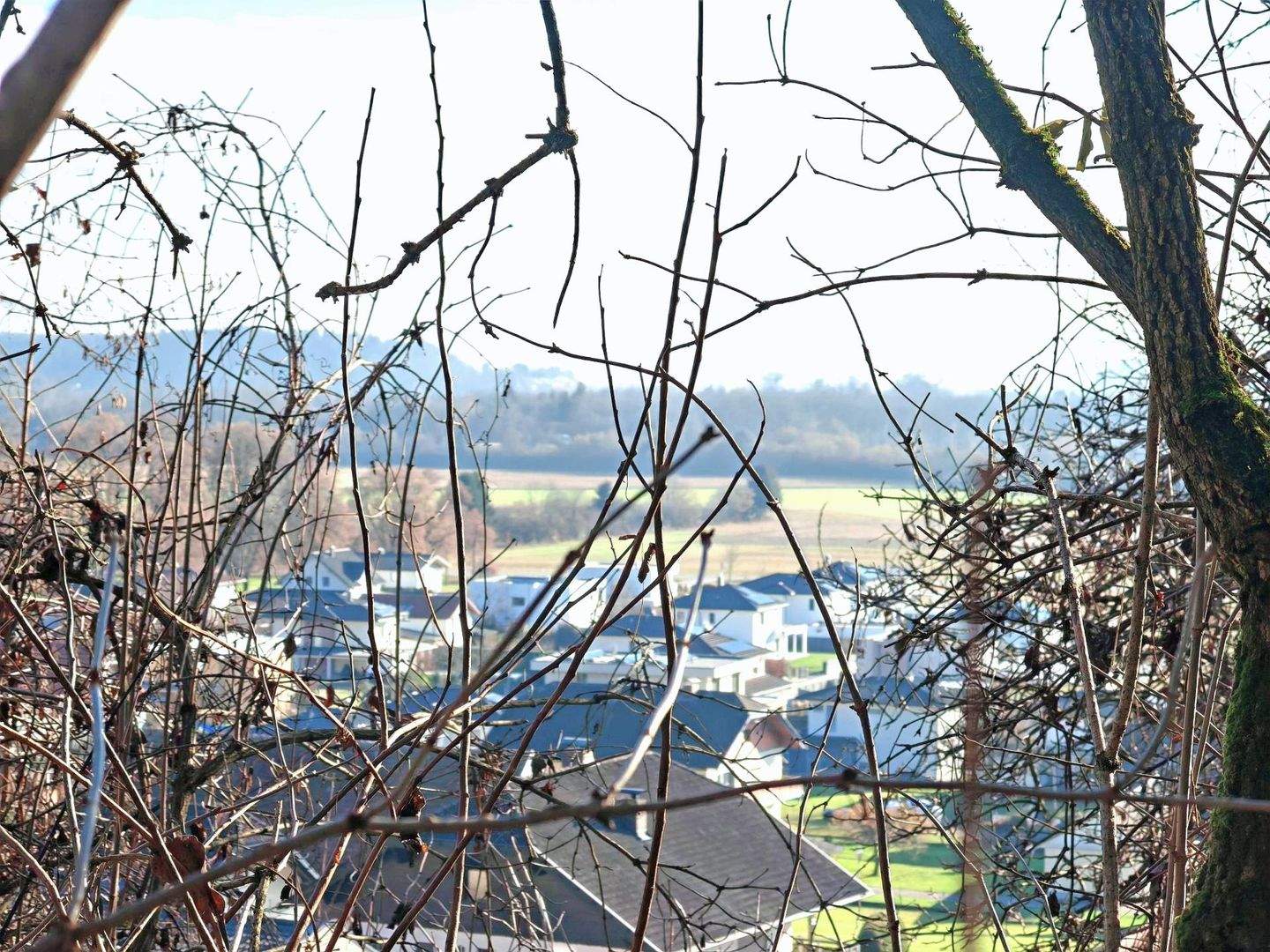 Grundstück zum Kauf - Ansicht 4