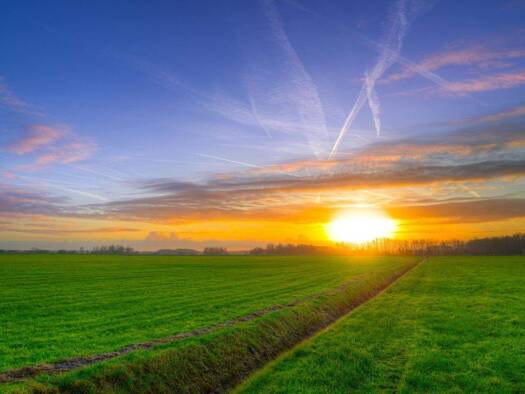 Grundstück zum Kauf 5.381 m² Grundstück Gambach Münzenberg