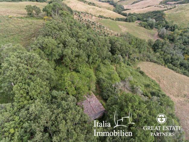 Bauernhaus zum Kauf 450.000 € 12 Zimmer 82 m² 46.798 m² Grundstück Pienza 53026