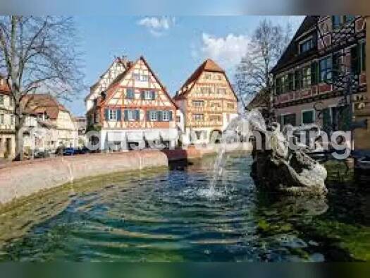 Wohnung zur Miete Tauschwohnung 795 € 1 Zimmer 51 m² Ladenburg 68526