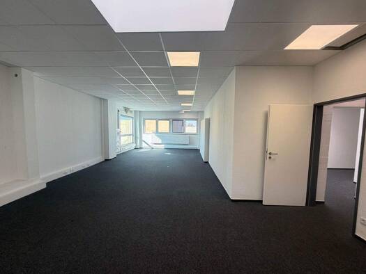 Bürofläche zur Miete 11,90 € 800 m² Bürofläche Billbrook Hamburg 22113