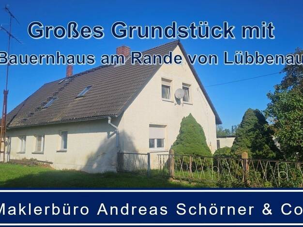Einfamilienhaus zum Kauf 87.000 € 6 Zimmer 185 m² 1.090 m² Grundstück frei ab sofort Groß Beuchow Lübbenau/Spreewald 03222