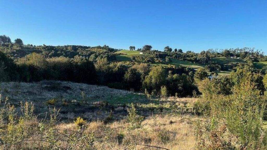 Büro zum Kauf 55.000.000 € Ancud