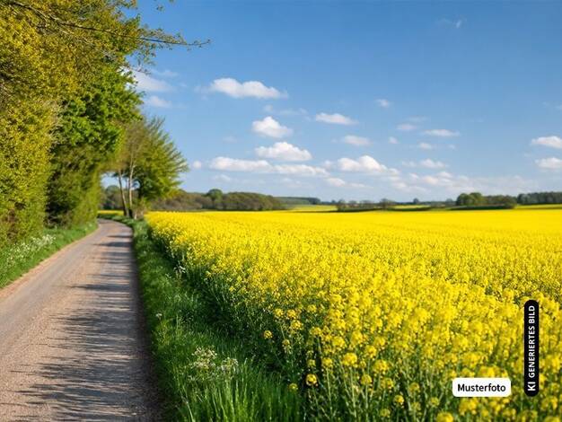 Land-/Forstwirtschaft zum Kauf provisionsfrei 45.000 € Gaisthal Schönsee 00000