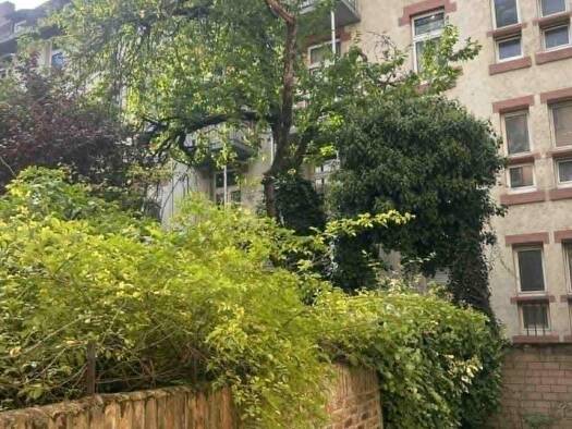 Büro zur Miete 1.230 € 3 Zimmer 75 m² Bürofläche Nordend-Ost Frankfurt am Main 60389