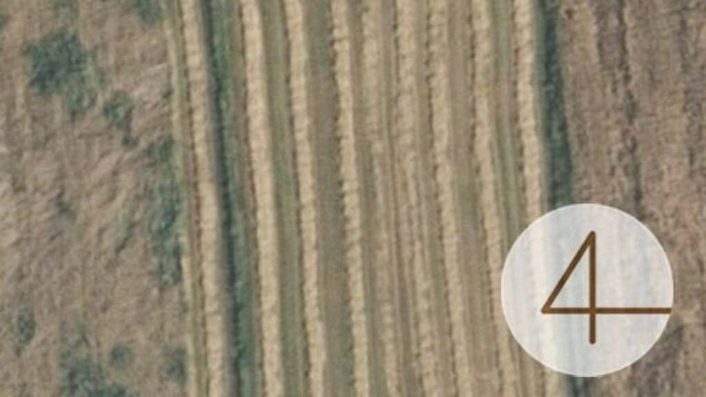 Land-/Forstwirtschaft zum Kauf Waidhofen an der Thaya 3830