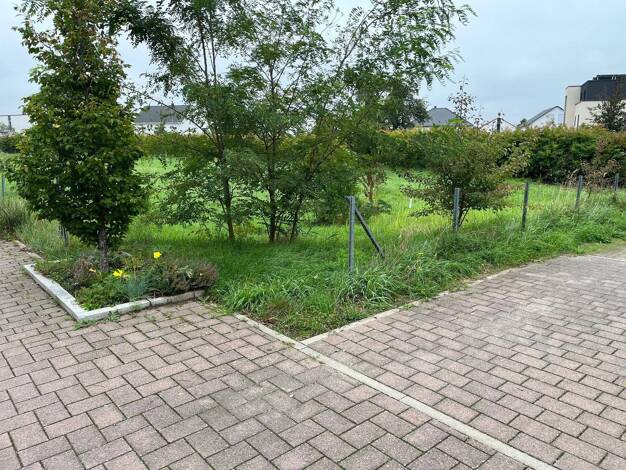 Grundstück zum Kauf provisionsfrei 340.000 € 409 m² Grundstück Mezzagoring 32 Reilingen 68799
