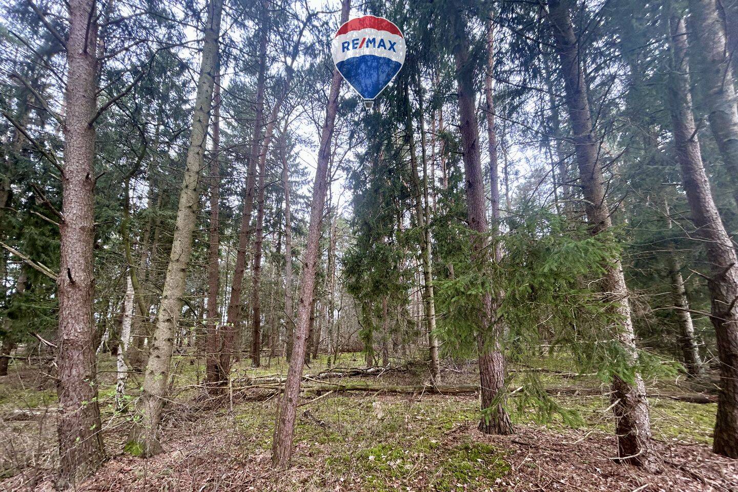 Land-/Forstwirtschaft zum Kauf - Ansicht 5