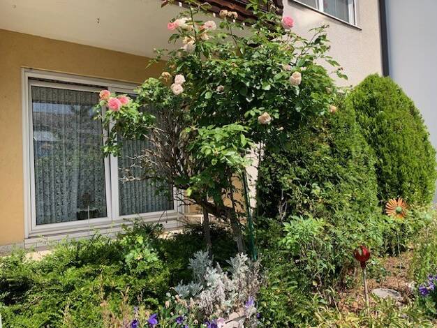 Doppelhaushälfte zum Kauf 375.000 € 5 Zimmer 115 m² 263 m² Grundstück Burgfarrnbach Fürth 90768