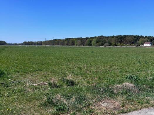 Grundstück zum Kauf provisionsfrei 40.000 € 800 m² Grundstück frei ab sofort Briesen 03096