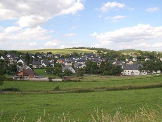 Grundstück zum Kauf 49.000 € 2.490 m² Grundstück Hinter der Gott Herl 54317