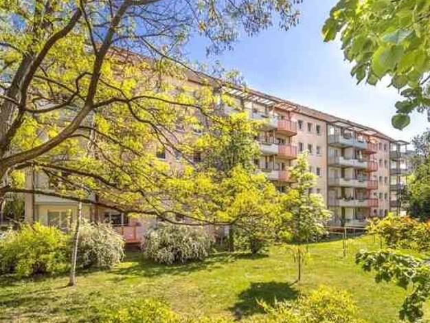 Wohnung zur Miete 585 € 2 Zimmer 51 m² frei ab 17.10.2026 Am See 10 Wilsdruffer Vorstadt/Seevorstadt-West Dresden 01067