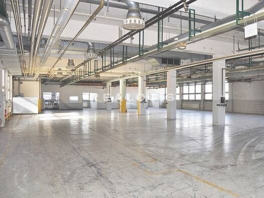 Halle/Industriefläche zur Miete provisionsfrei 3.000 m² Lagerfläche teilbar ab 1.000 m² Eichstätt Eichstätt 85072