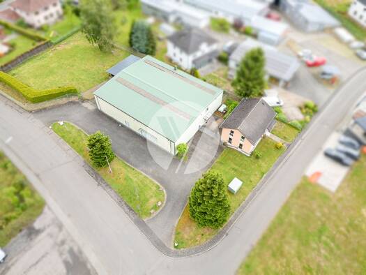 Halle/Industriefläche zum Kauf 980.000 € Hetzerath 54523