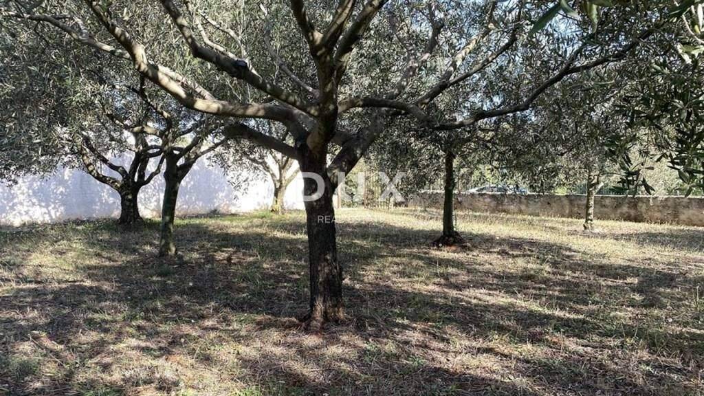 Land-/Forstwirtschaft zum Kauf 309.000 € Premantura, Pomer