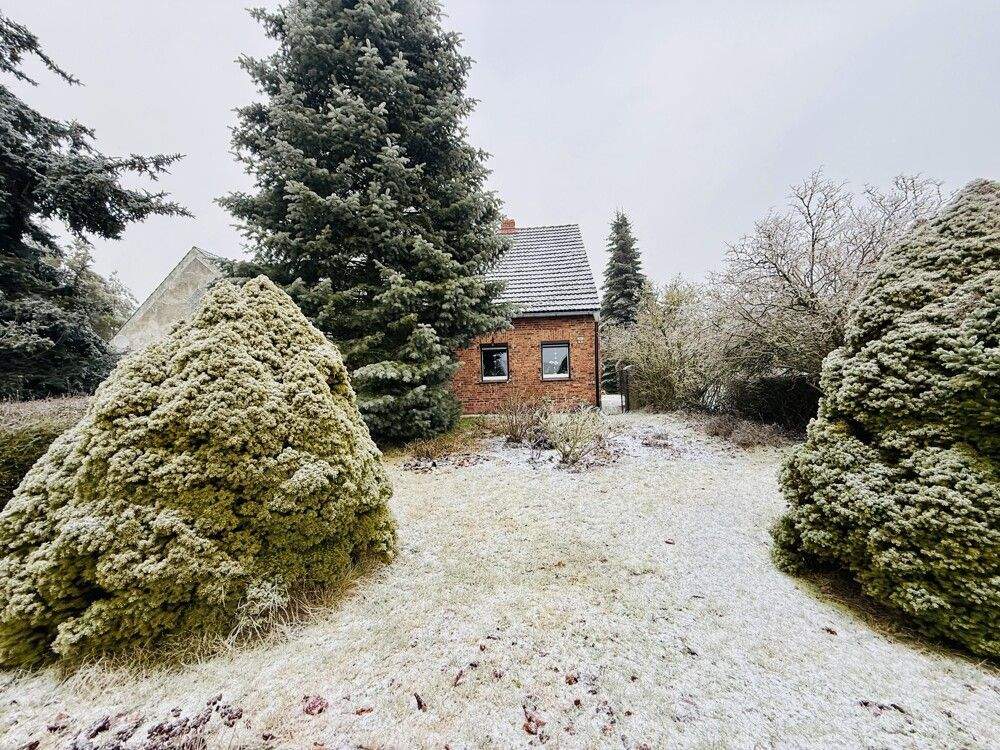 Immobilie in Casekow - Großer ehemaliger Bauernhof -  2 Wohneinheiten, Scheune - Selbstnutzung und Kapitalanlage! - Bild 4