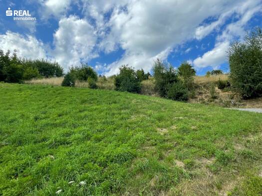 Grundstück zum Kauf 60.000 € 1.890 m² Grundstück Bad Schwanberg 8541