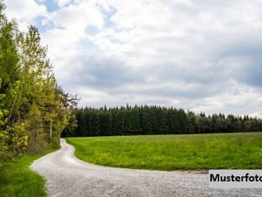 Land-/Forstwirtschaft zum Kauf 23.900 € 10.384 m² Grundstück Heiligenkreuz am Waasen 8081