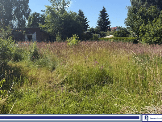 Grundstück zum Kauf 300.000 € 991 m² Grundstück Neu Lindenberg Ahrensfelde 16356