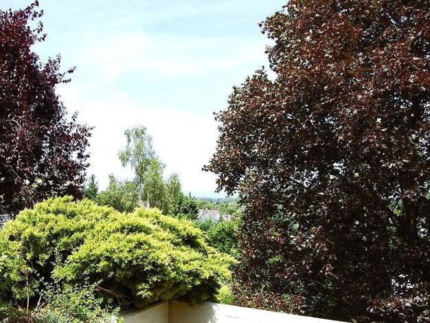 Terrassenwohnung zum Kauf provisionsfrei 479.000 € 2,5 Zimmer 118 m² 1. Geschoss Dreieichenhain Dreieich 63303